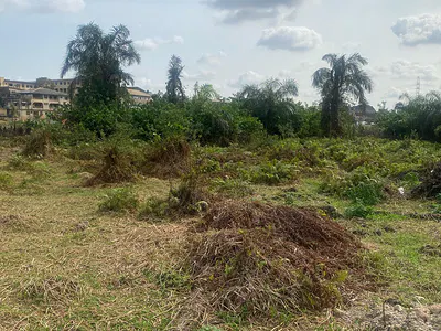 Full Plot of Land