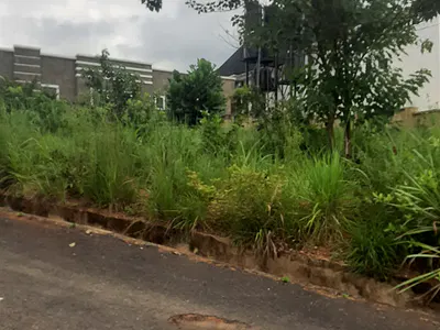 Land Good for Residential or Commercial