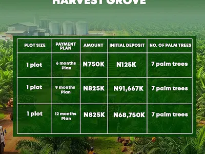 One Acre of Palm Oil Investment