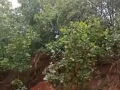 27.80 Hectares of Land