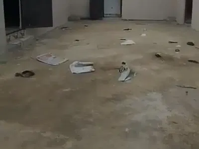 Brand New Spacious One Bedroom Apartment