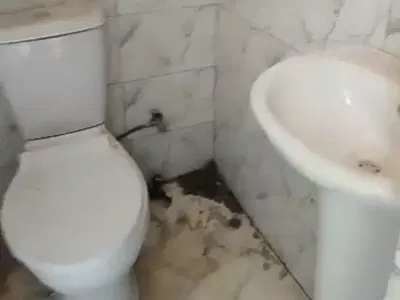 Brand New Spacious One Bedroom Apartment