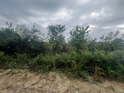 Distress Half Plot of Dry Land in a Serene Environment