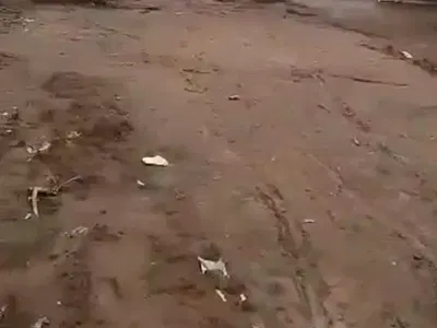 One Hectares of Land