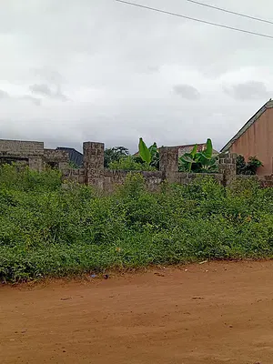 A Proposed 3 Bedroom Bungalow on Full Plot