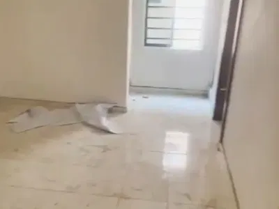 Very Decent Newly Built Mini Flat