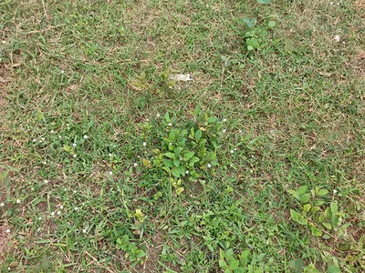 Commercial Land. Size: 3000 SQM.