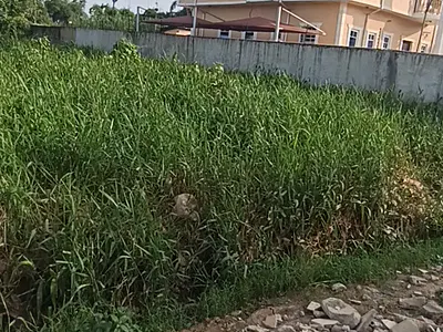 Half Plot of Land 320SQM