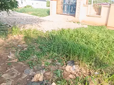 More Than Half Plot of Land
