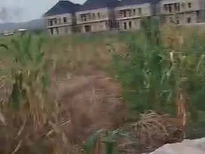 7, 310SQM, Residential, C of O