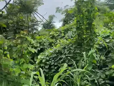 Affordable Plot of Land