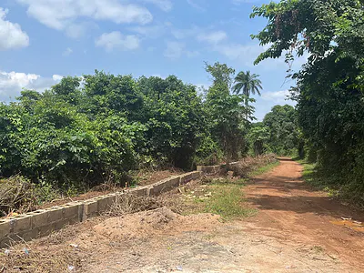 Farm Plots with Verified Documents