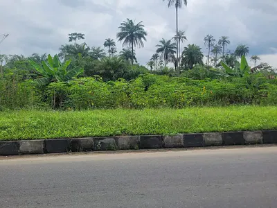 20 Acres of Land (120 Plots), Title: C of O