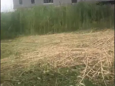 Land