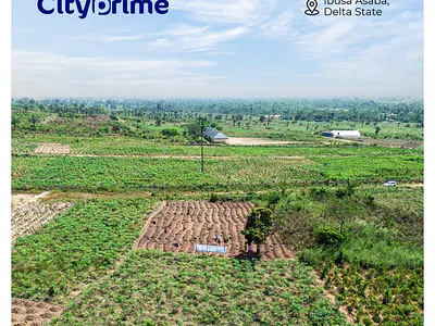 Land with Proposed Modern Infrastructure