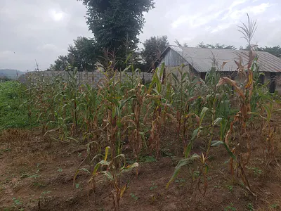 3 Hectares Residential/Arable Land