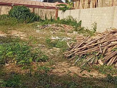 Half Plot of Land