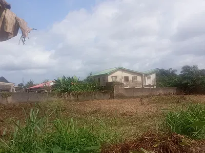 One and Half Plot of Land in an Estate