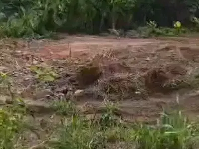 Solid 335 Half Plot of Land with Receipt & Deed