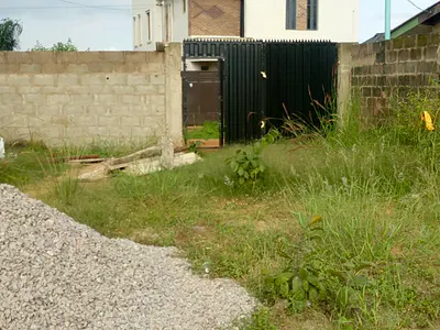 Half Plot of Land