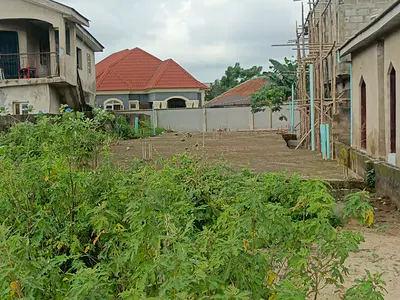 Half Plot of Land