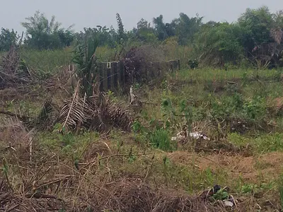2 Acres and 3 Separate Plots of Land