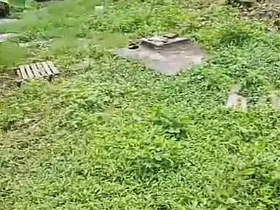 2 Plots of Land