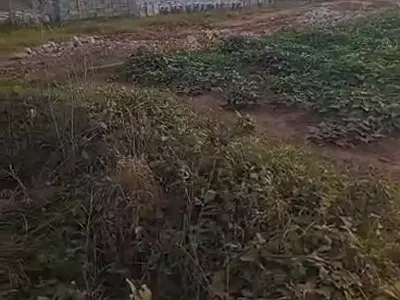 5108 SQM of Land