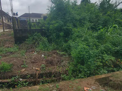 Full Plot of Land Corner Piece at Opic GRA