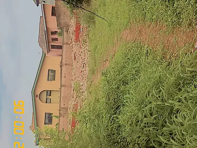 748 SQM of Dry Land