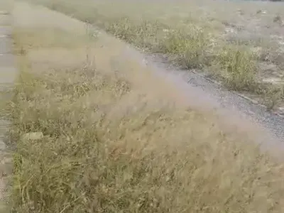 A Land Measuring 30, 000 SQMS