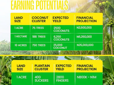 Own a Coconut and Plantain Farmland — Alabata, Abeokuta South, Ogun