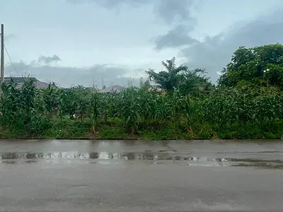 2 Plots of Land
