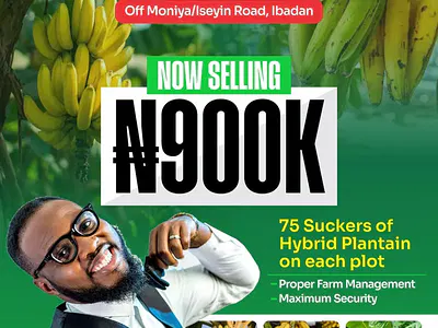 Plantain Farmland — Ibadan, Oyo