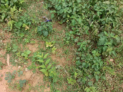 Size: 3700, Fence Commercial Land on a Tarred Road,