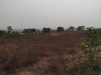 200 Registered Plots