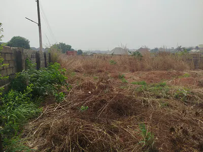 1000 Registered Plots