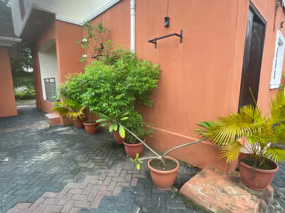Most Beautiful Miniflat Serene Neighborhood Nice Compound