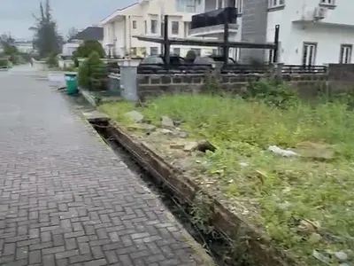 Solid Land