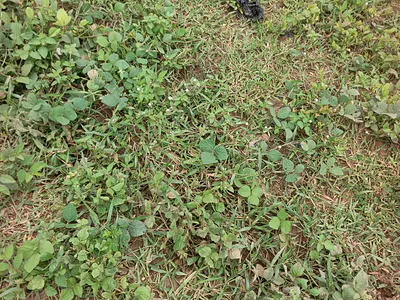 Residential Land with C of O