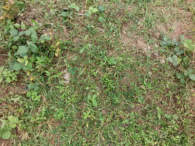 Fence and Gated Residential Land with C of O
