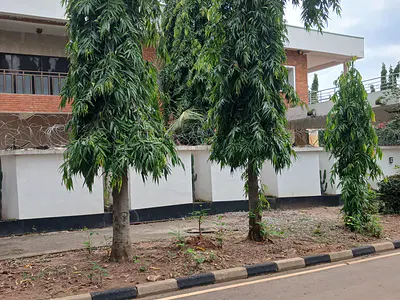 12 Bedroom Detached Duplex on a 2200SQM Land