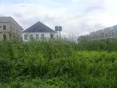 Land