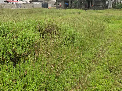 Plot of Land