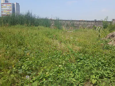 Land of 9000SQMTR, Fenced Round with Gate Off Freedom Way — Lekki, Lagos