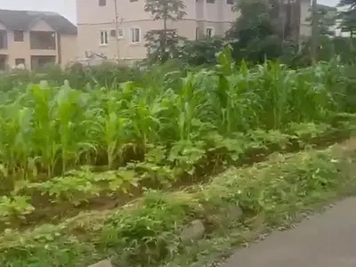 500SQM Multipurpose Land