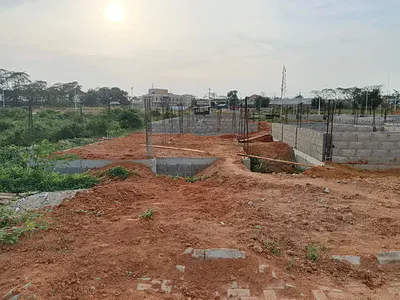 Prime Plots with Governor's Consent.