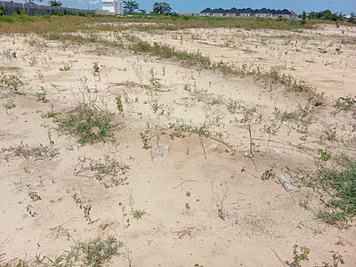 Prime Plots with Governor's Consent