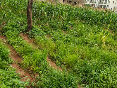 Immediately Buidable Over 1000SQM Land