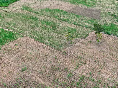 Affordable Farmlands Suitable for Several Forms of Farming